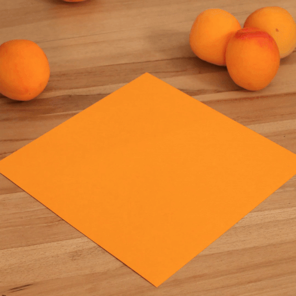 animation magic tricks stop motion