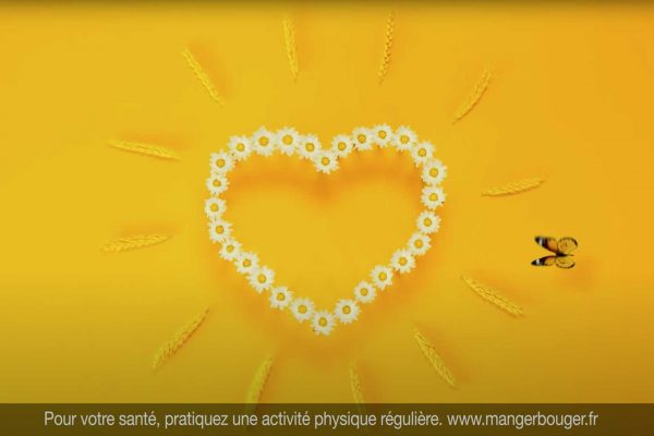 screenshot harrys stop motion