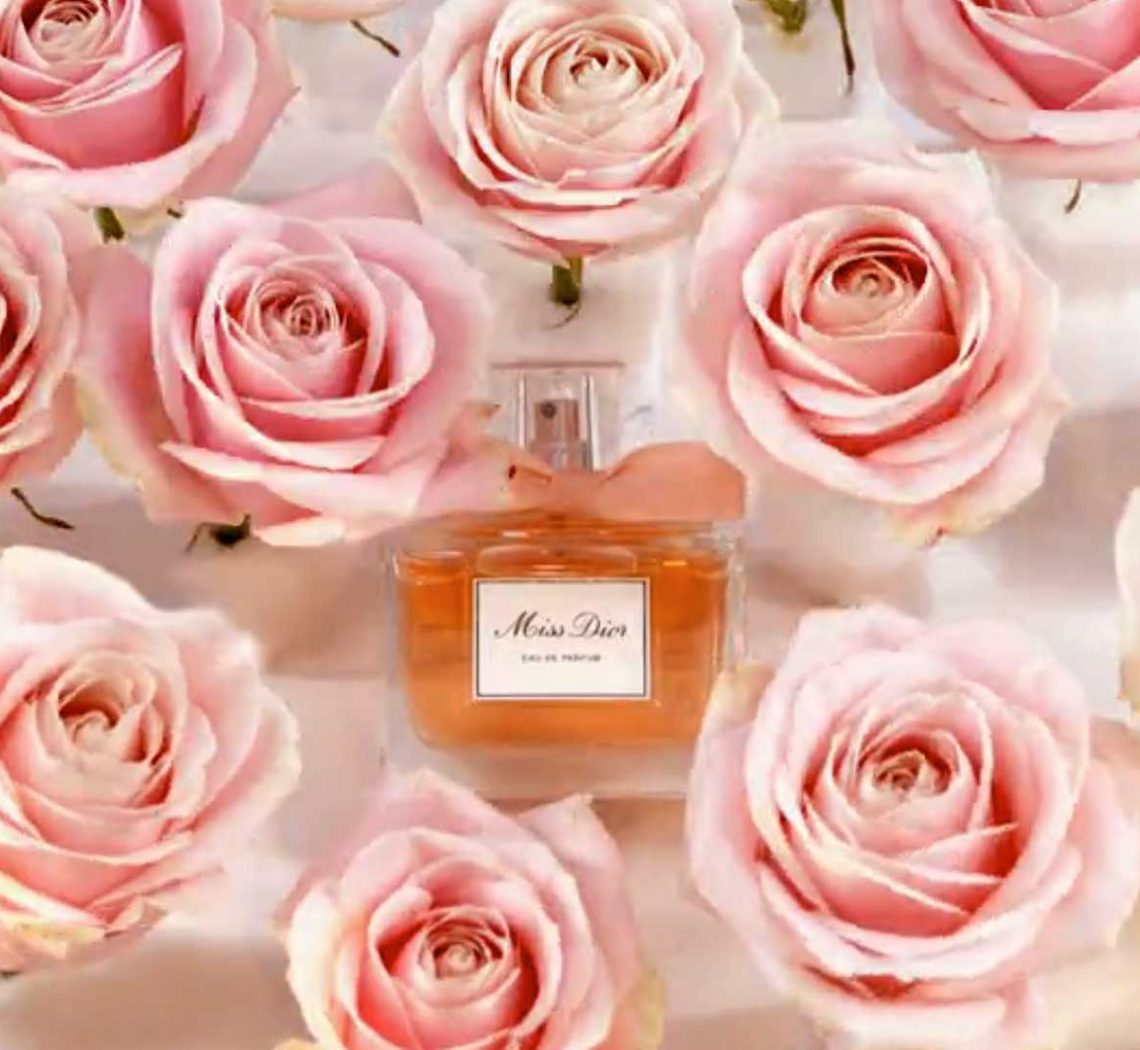 screenshot miss dior stop motion