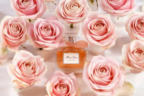 screenshot miss dior stop motion